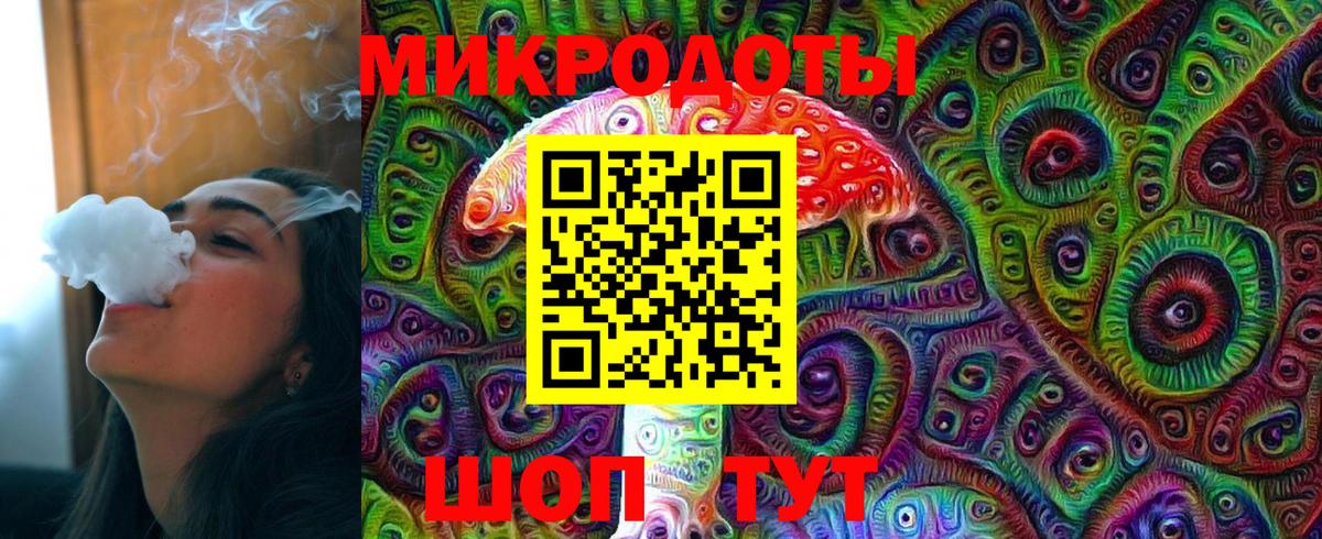 Псилоцибиновые грибы Cubensis Дзержинский