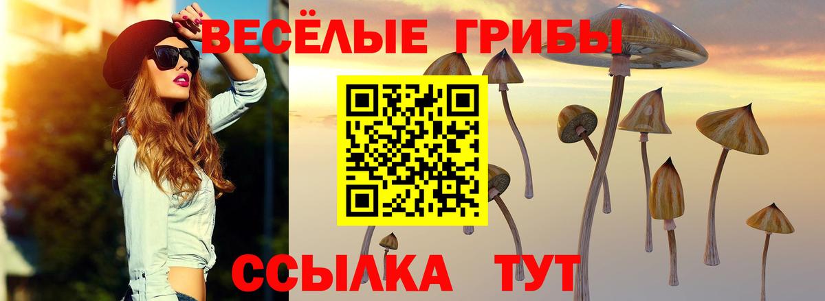 Дзержинский  Псилоцибиновые грибы Psilocybe  Вход с VPN  Псилоцибиновые грибы Psilocybine cubensis 
